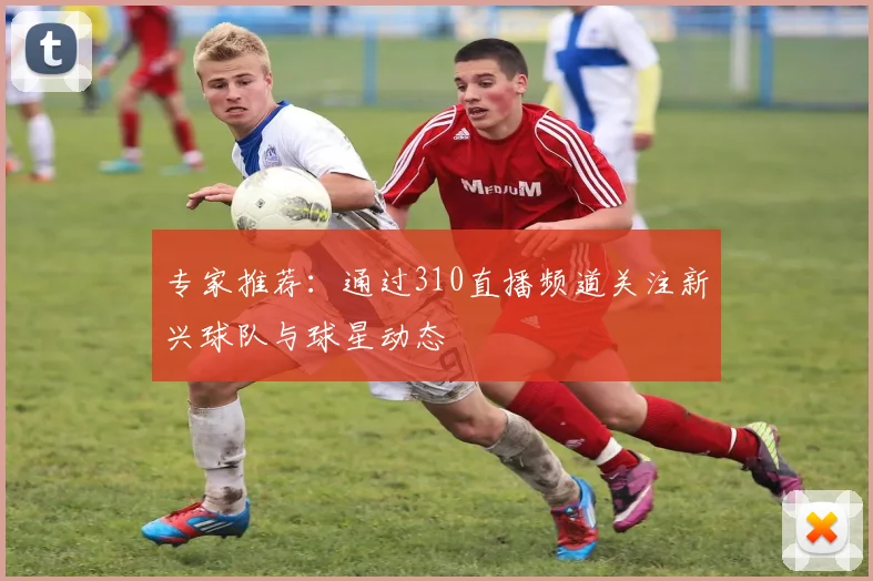 专家推荐：通过310直播频道关注新兴球队与球星动态